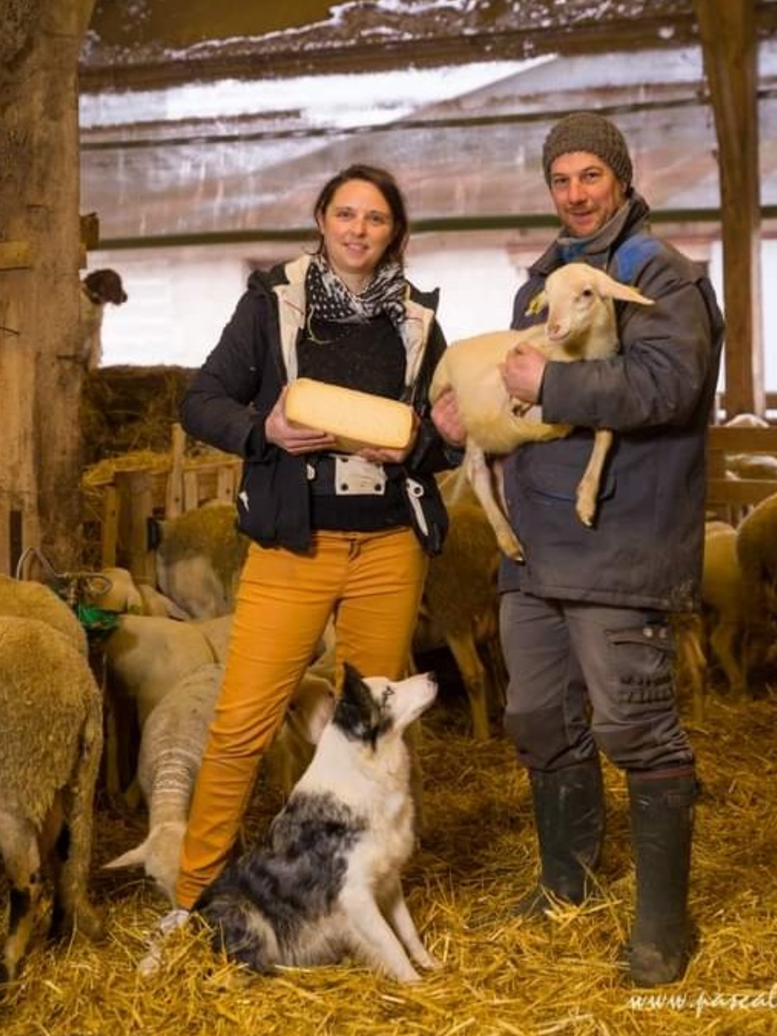 Fromages de chèvre en Indre et Loire
